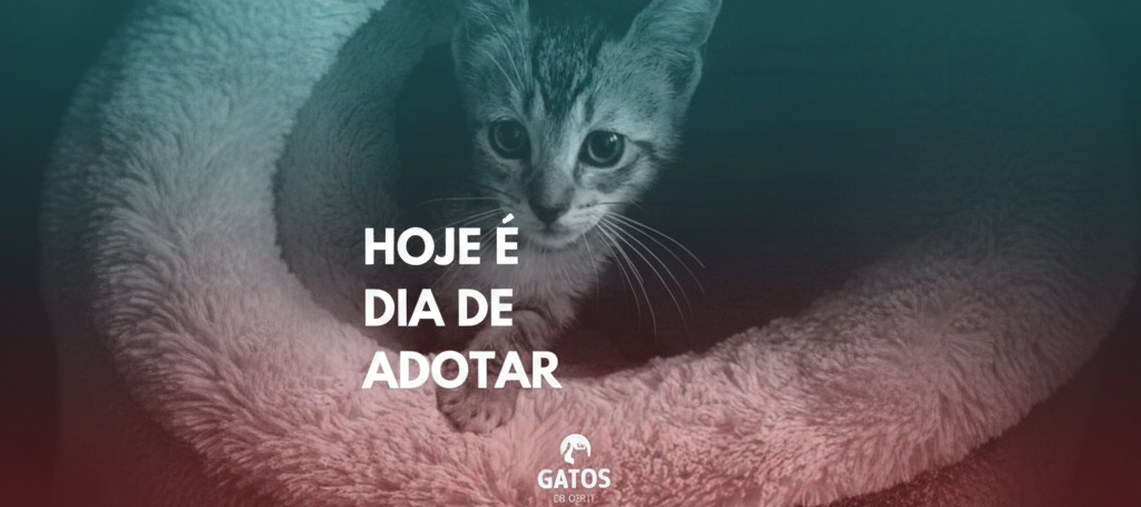 Adotar