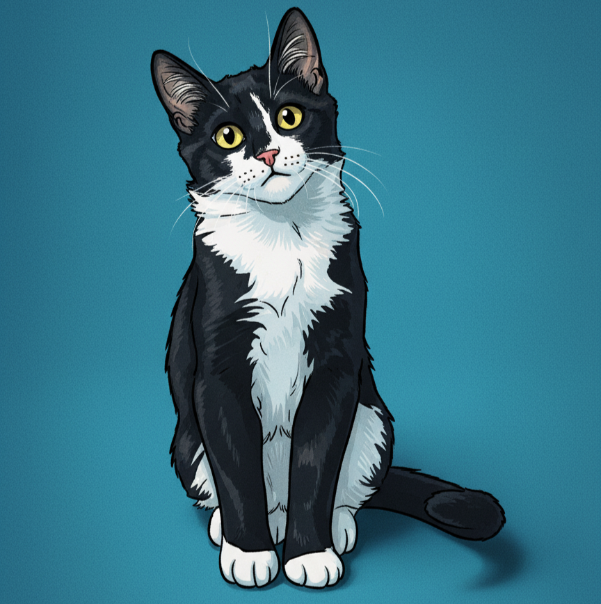 Gata Frajola